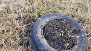 4. декабрь 2025