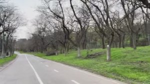 ОДЕССА 15 ДЕКАБРЯ 2025 ПОДАРКИ ОТ ЛУКАШЕНКО СВИН В ВАТИКАНЕ ПРОРОССИЙСКИЕ НАРРАТИВЫ ИТАЛИИ