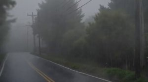 1 Hour Rain Sound for deep sleep