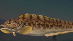 RF 4 Русская Рыбалка 4! Медное и Море!!!