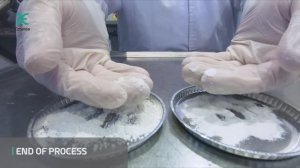 Comasa Технология сухой грануляции на компакторе KOMPACTOR 200