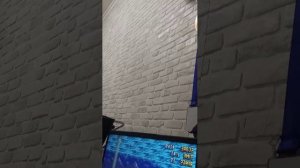 стрим снова