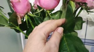 Чтобы букет роз стоял дольше.