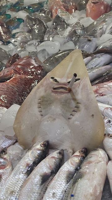 Рыбный рынок в Хургаде! смотреть онлайн