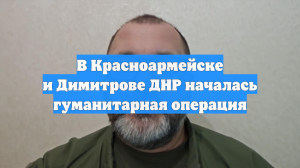 В Красноармейске и Димитрове ДНР началась гуманитарная операция