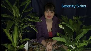 Послание Ангелов 😇таро расклад на будущее советы высших сил💫