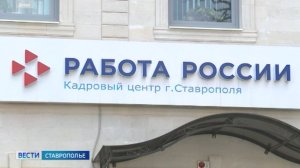 На Ставрополье наладили эффективную систему трудоустройства