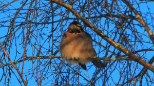 Незнаю как и кто, но очень красивая