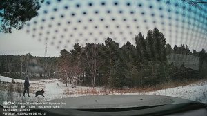 Поиски снега. Игра с собакой