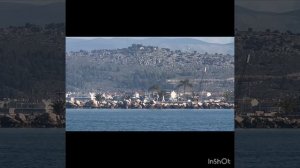 Что будет , если  круизный лайнер не может зайти в порт? Тендерная высадка !!! 👍