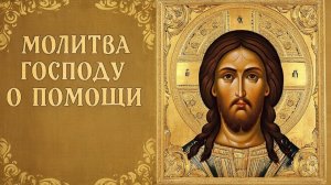 Проси помощи у Господа. Просьбы будут услышаны🙏