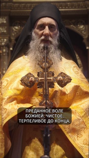 НА ЭТОМ ПУТИ НЕТ КОНЦА | ИЕРОМОНАХ НАУМ | ВАЛААМСКИЙ МОНАСТЫРЬ #валаам #проповедь #православие смотреть онлайн