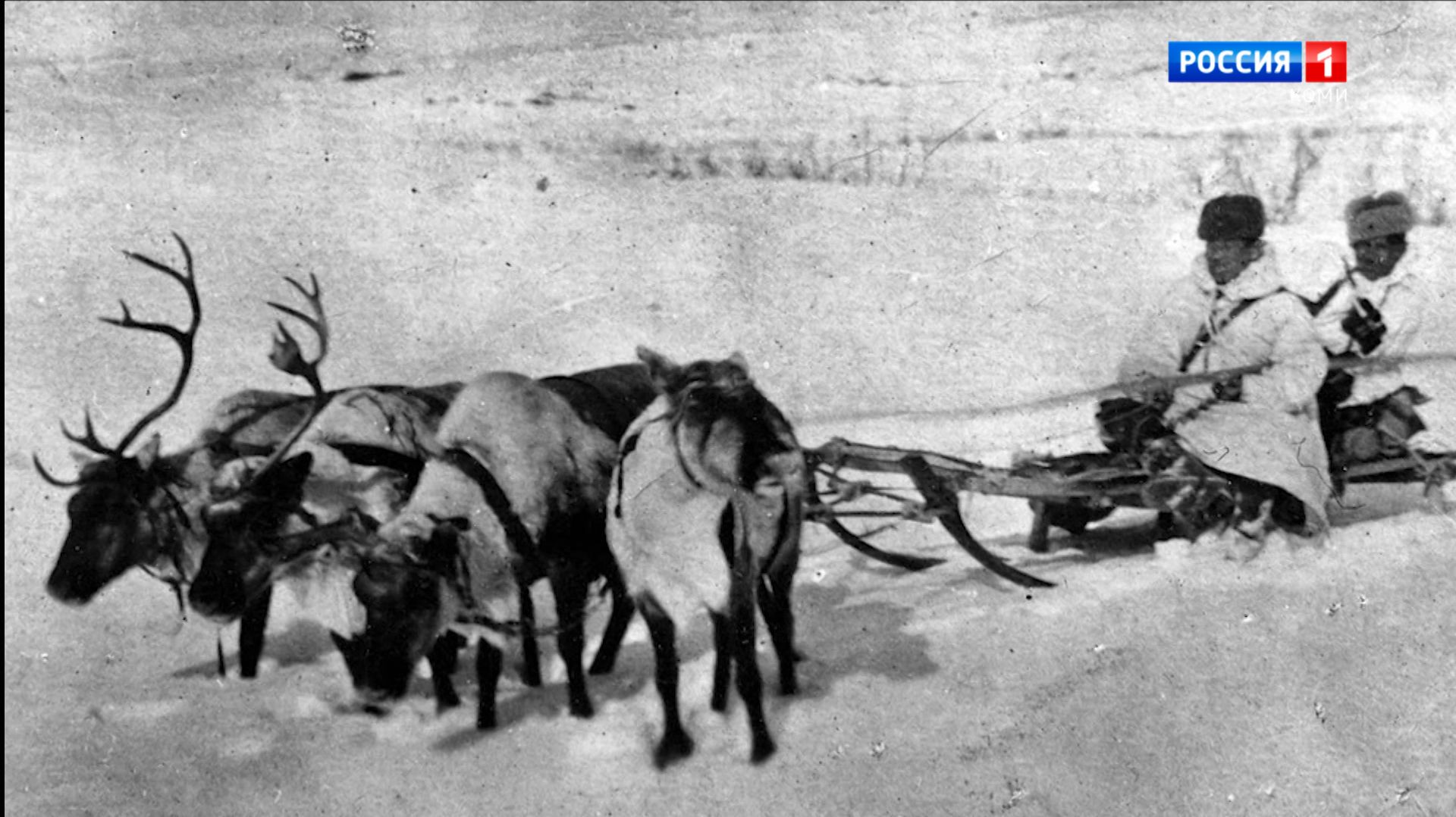 Выставка «Память оленных батальонов: история подвига народов Севера»