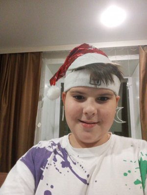 новогодний делаю дз