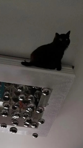 ПОДПИСЧИК СПАСИБО ЧТО ПОДПИСАЛСЯ 🤝