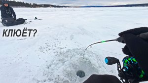 Ловля судака в декабре. На вибы ПО РУСЛУ. Вася-поджопник. Зимняя рыбалка 2025