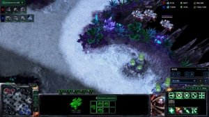 SC2 TвТ vs Frol