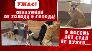 Три спасенные жизни: много или мало?