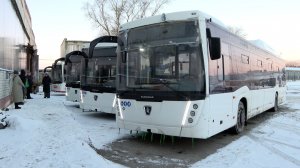 Новые автобусы