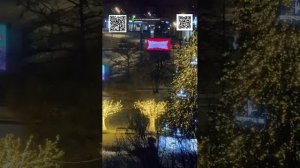 LIVE: Lost in Cities