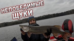 НЕПОБЕДИМЫЕ ЩУКИ!