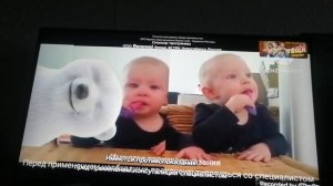 ушки сиалор у вас собеседование авка на складе сиалор малыш грустно