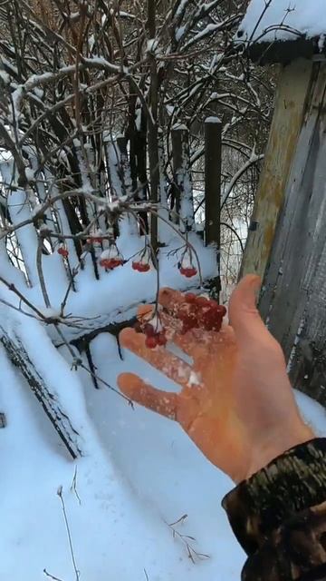 Выжить в заброшенном доме смотреть онлайн