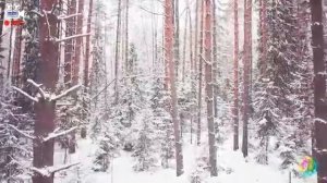 _Северный ветер  - Сергей Овчинников