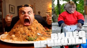 СМЕШНЫЕ ВИДЕОПРИКОЛЫ |Смешные видео с людьми | Я РЖАЛ ДО СЛЕЗ|ПОДБОРКА ПРИКОЛОВ