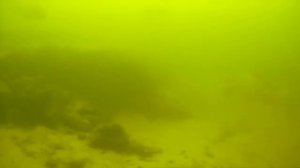 ЗИМНЕЕ ЛОГОВО САЗАНА 😱 Под водой ТЫСЯЧИ рыбин, КАРАСИ - КОНИ! Рыбалка зимой 2025