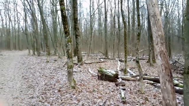 Городская роща Ефремов 1 часть смотреть онлайн