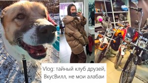 Vlog: Наш тайный клуб друзей, Дневной Look, покупки ВкусВилл, Волонтёрство в приюте для собак