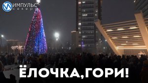В городе зажгли огни на новогодней ёлке