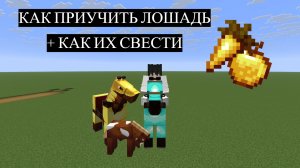 КАК ПРИУЧИТЬ ЛОШАДЬ + КАК ИХ СВЕСТИ / МАЙНКРАФТ НОВАЯ ВЕРСИЯ