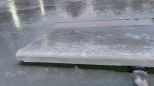 Толщина льда 8,5 см. Завтра уже можно на первый лед. Количество путевок ограничено!
