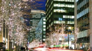 .  Япония. Встреча  Нового года в Токио.