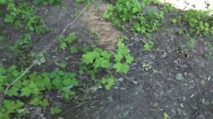 Бесплатное электричество из земли и старого радиатора..