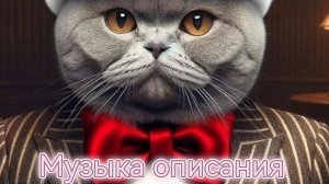 кот танцует и говорит тебе что...