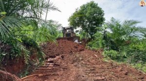 Строительство, расчистка на лесной дороге