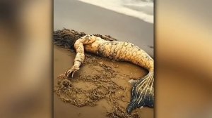 Самые жуткие русалки, когда-либо снятые на камеру!