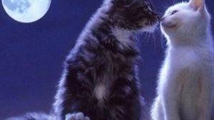 Ракетобиль - Просто дождь