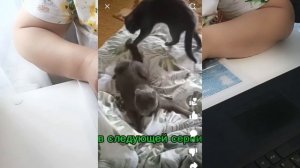 под мазайку история о любимой Соньке