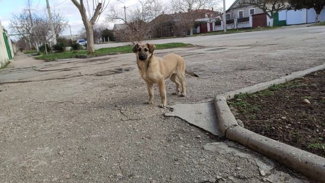 Один из дней города Евпатории | 5 февраля 2021 год  Крым | ХАН БАТОН XAH 6ATOH | VID_20210205_141353