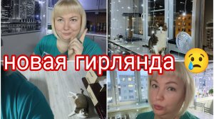 15-12-2025 Барсик сломал новую гирлянду * Свитер от Ашота * Это общая информация, не для догадок