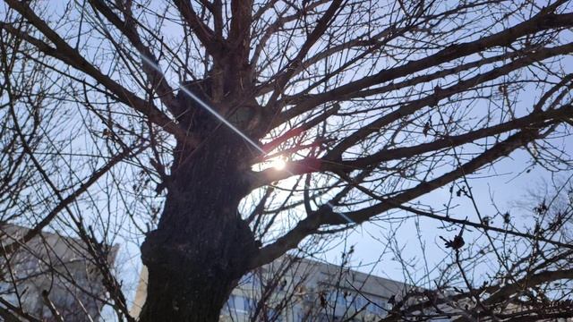 Один из дней города Евпатории | 9 февраля 2021 год  Крым | ХАН БАТОН XAH 6ATOH | VID_20210209_134650