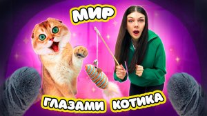 МИР ГЛАЗАМИ КОШЕЧКИ БАТТЕРС | МИР ГЛАЗАМИ КОТИКА