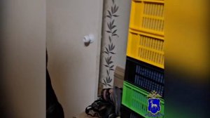 Двое жителей Тольятти уличены полицией в организации подпольной лаборатории по производству зелья