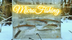 #microfishing | Жаркий клёв на теплом водоеме в декабре |