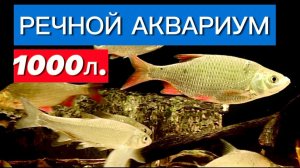 Речной Аквариум 1000л