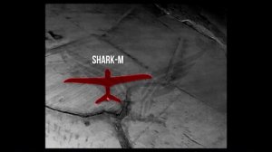 ПВО Центра «Рубикон» работает в небе. Сбиты «Булава», «Лелеки», «Шарки», и другие БпЛА